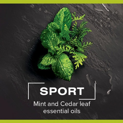 Mint and cedar leaf