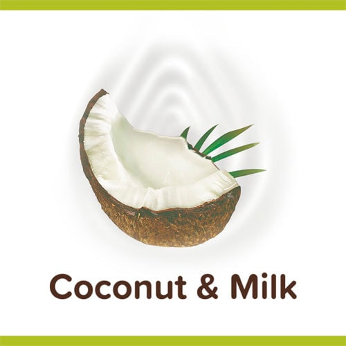 Coconut & Milk